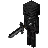 Wither Squelette