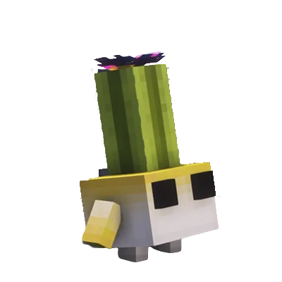 Bulbe Cactus