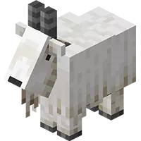 1 Chèvre